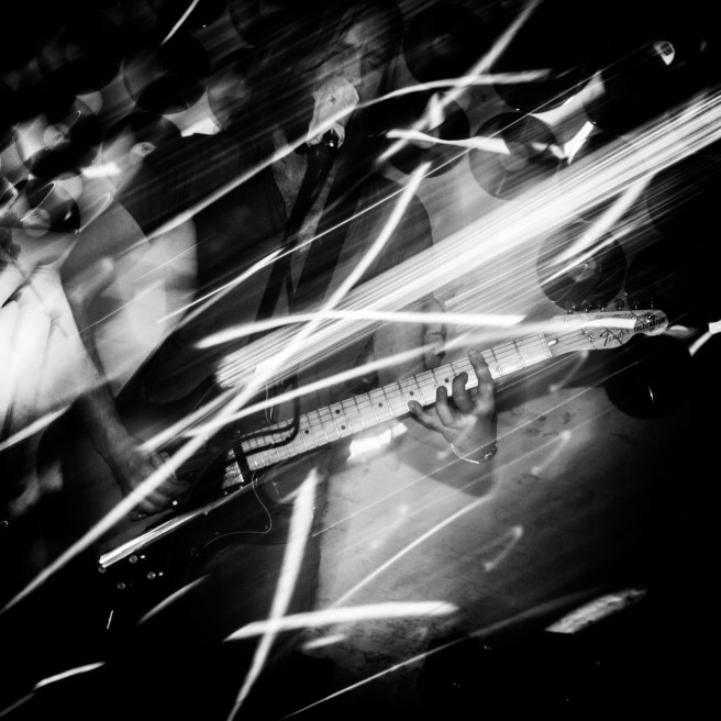 andthehorse (1 von 1)-8